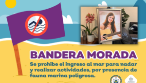 Tras trágico ataque de tiburón en Melaque autoridades toman medidas preventivas