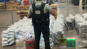 GN intercepta 598 Kilos de marihuana en el Aeropuerto de Guadalajara