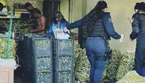 Hombre fue lesionado en riña dentro del Mercado de Abastos - ZMG Noticias