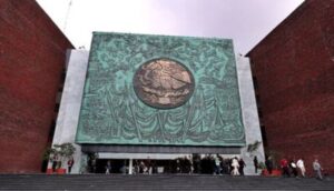 Con esas mulas hay que arar  - ZMG Noticias