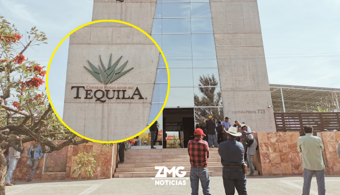 “Hay un exceso de coyotaje y corrupción” manifiestan agaveros en el Consejo Regulador del Tequila. - ZMG Noticias