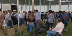 “Hay un exceso de coyotaje y corrupción” manifiestan agaveros en el Consejo Regulador del Tequila. - ZMG Noticias