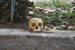 Se reporta lo que podría ser un resto humano en un parque en la colonia americana - ZMG Noticias Se reporta lo que podría ser un resto humano en un parque en la colonia americana - ZMG Noticias