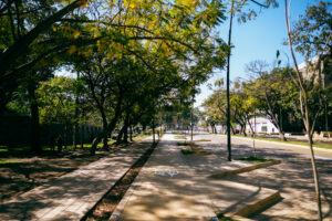 Con 92 millones de pesos finalizan y entregan Paseo Fray Antonio Alcalde - ZMG Noticias