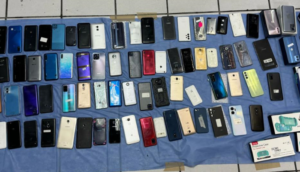 Cateo en Plaza de la Tecnología: Aseguran teléfonos y accesorios de presunta procedencia ilícita