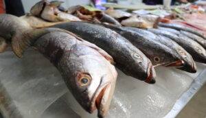 Emiten recomendaciones para manejo de alimentos del mar - ZMG Noticias