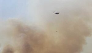 Controlan incendio en La Primavera - ZMG Noticias