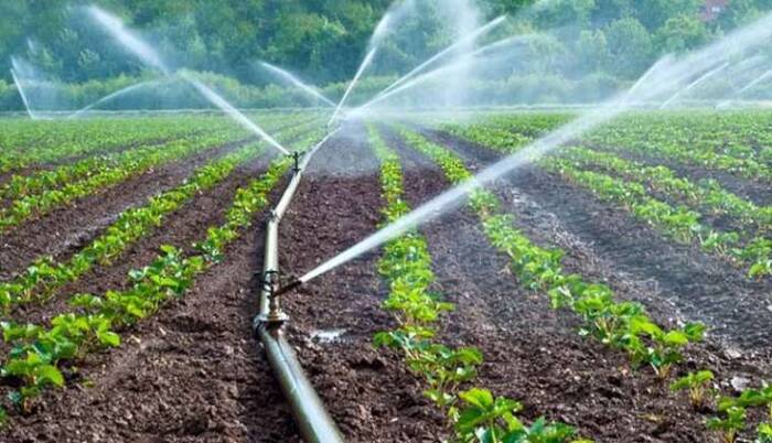 Vigilarán uso del agua en el campo de Jalisco - ZMG Noticias