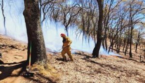 Incendio forestal lleva cuatro días sin control  - ZMG Noticias