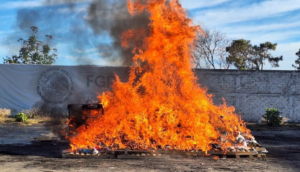 FGR incinera diversas drogas aseguradas en Jalisco