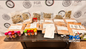 Asegura la PFM droga en una empresa de paquetería en Jalisco