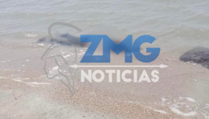 Tragedia en Oaxaca: Hallan 8 cuerpos en playa del Istmo de Tehuantepec