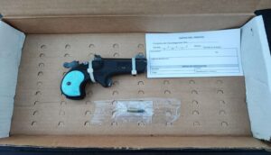 Policías le encuentran pistola calibre 22 a menor de 14 años  - ZMG Noticias