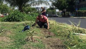 Colectivo Coamil Federalismo organiza festival cultural - ZMG Noticias