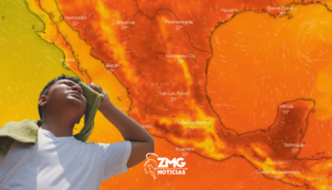 Te compartimos información importante para la primera onda de calor.