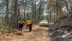 Incendio en La Primavera deja daños de más de 20 millones de pesos  - ZMG Noticias