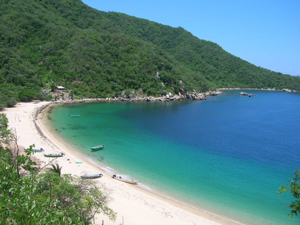 Se conmemoró el Día Internacional de la Diversidad Biológica - ZMG Noticias Se conmemoró el Día Internacional de la Diversidad Biológica.