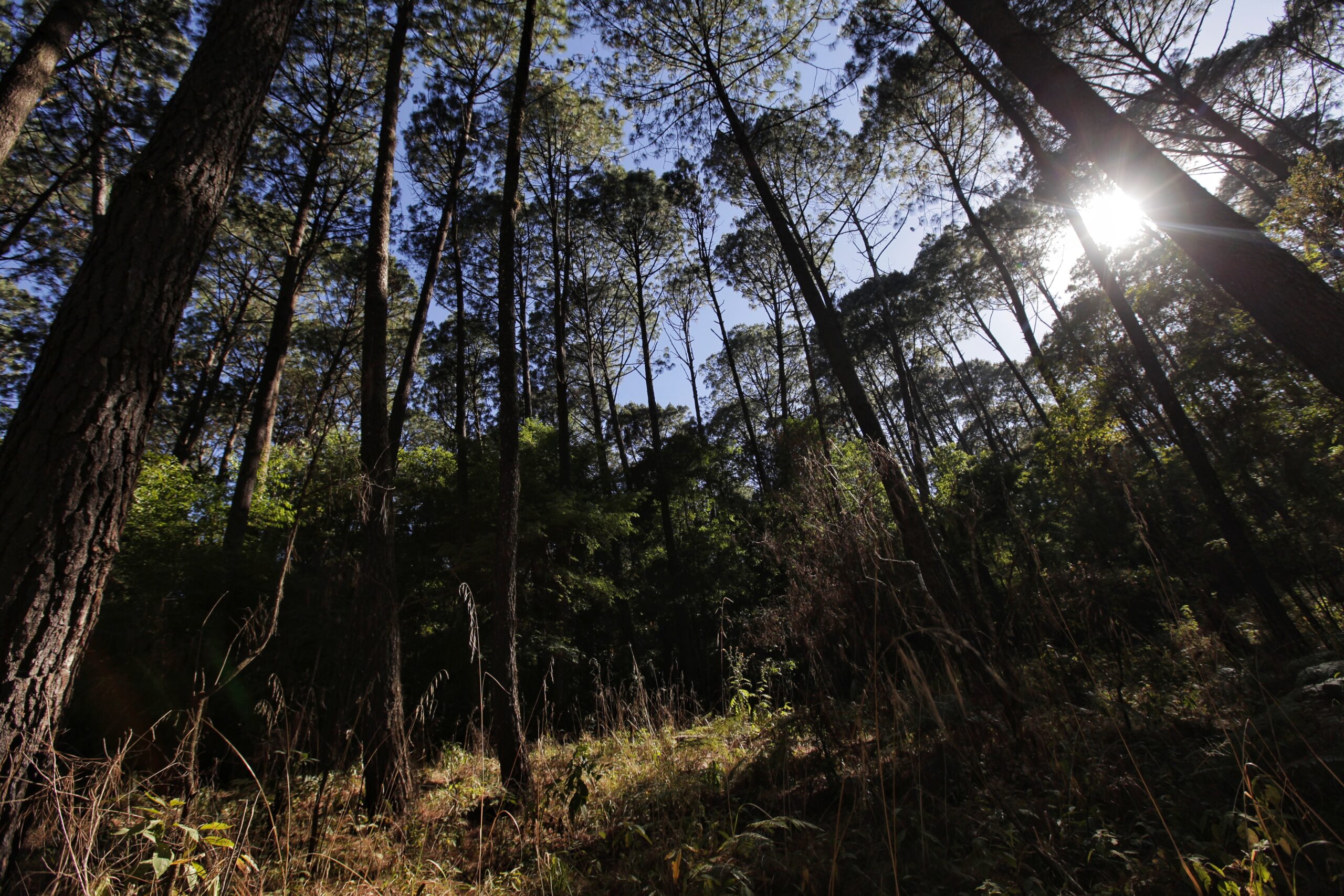 Se conmemoró el Día Internacional de la Diversidad Biológica - ZMG Noticias Se conmemoró el Día Internacional de la Diversidad Biológica - ZMG Noticias