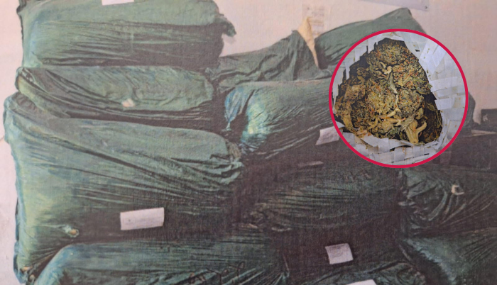 Aseguran más de 400 kilos de marihuana en Tonalá