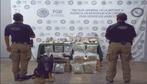 Aseguran droga en paquetería de El Salto - ZMG Noticias