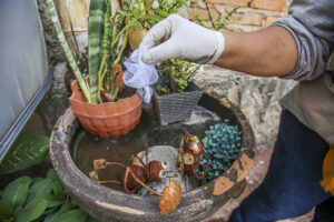Incremento de criaderos de mosquito transmisor del dengue durante la temporada de lluvias.