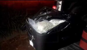 Capturan a sujeto con 25 kilos de Marihuana en colonia Nueva Central Camionera  - ZMG Noticias