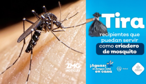 Campaña para Prevenir el Dengue: Eliminación de Criaderos de Mosquitos.