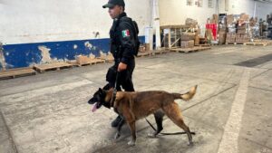 SSE asegura más de 4 kilos de crystal en una paquetería en Guadalajara.