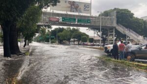 Caos en Zona de Plaza del Sol - ZMG Noticias