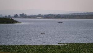 Presas de Jalisco y Lago de Chapala en recuperación - ZMG Noticias