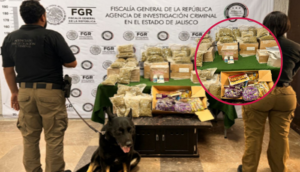 Aseguran drogas en empresa de paquetería en Guadalajara