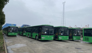 Llegan 52 unidades que servirán como Alimentadoras a la Línea 4 de Mi Tren