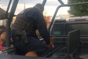Policías de Tlajomulco rescatan a perrito maltratado - ZMG Noticias