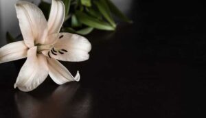 Le dan el pésame a Enrique Alfaro - ZMG Noticias