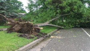 Diputados mandan a “congeladora” iniciativa - ZMG Noticias