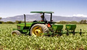 Campo jalisciense podría tener panorama positivo - ZMG Noticias