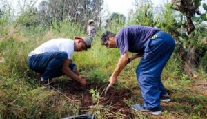 Destinan cuatro millones para reforestar en 20 municipios - ZMG Noticias