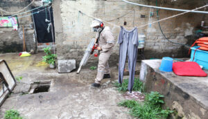 Jalisco tiene 239 casos nuevos de dengue - ZMG Noticias