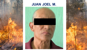 Dan 2 años de cárcel a responsable de ecocidio en Tala