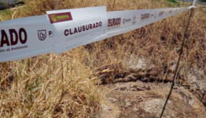 Proepa clausura granja porcícola en Lagos de Moreno por incumplir normas ambientales