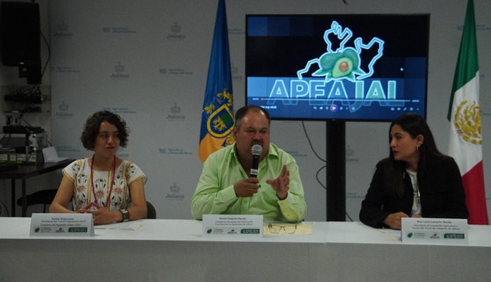 Aguacateros afectados por sequía - ZMG Noticias