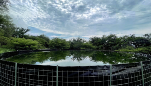 Jalisco invierte 58 mdp en sistemas de captación de agua pluvial