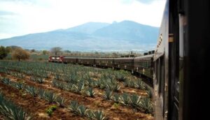 Reactivarán Tequila Express en septiembre - ZMG Noticias