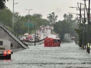 Tormenta provoca inundaciones y caída de árboles en Guadalajara
