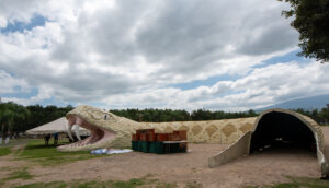 Tlajomulco recibe Cumbre de Fauna Silvestre - ZMG Noticias