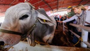 Todo listo para la Expo Ganadera 2024 - ZMG Noticias