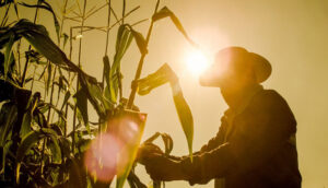 De último minuto suspenden protesta de agricultores - ZMG Noticias