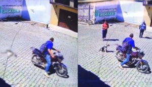 Otro maltrato animal; ahora en Ixtlahuacán del Río