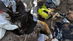 Colectivo encuentra 19 bolsas enterradas con restos humanos en Zapopan - ZMG Noticias