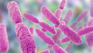 Aumentan a 13 los fallecimientos por brote de Klebsiella oxytoca en el Estado de México